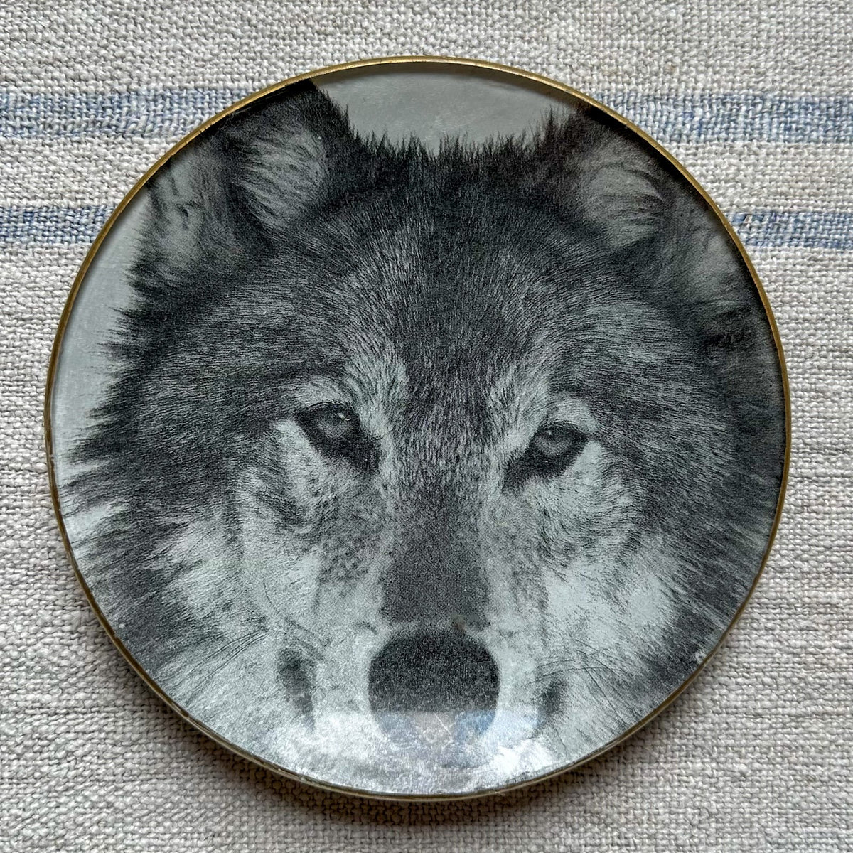 Plato PAN lobo