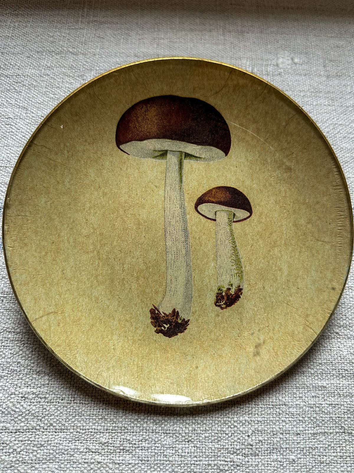 Plato POSTRE champiñón