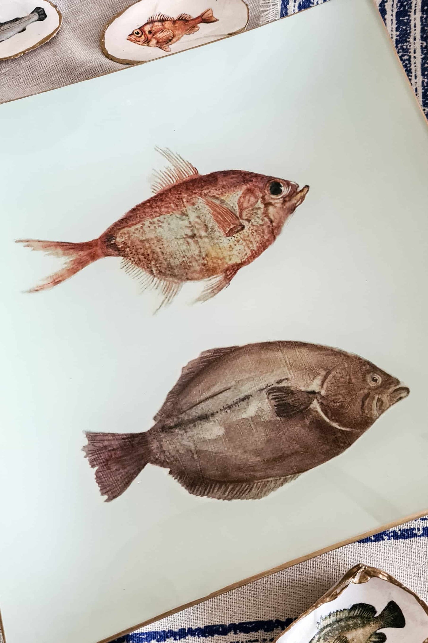 Bandeja Cuadrada 25cm Peces
