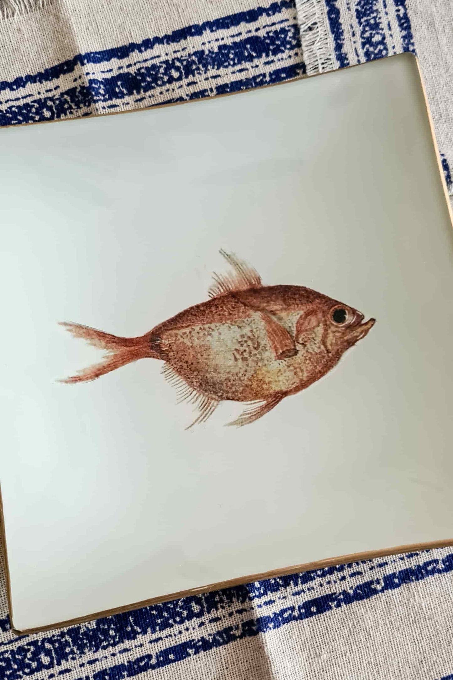 Conjunto platos cuadrados de pan Peces