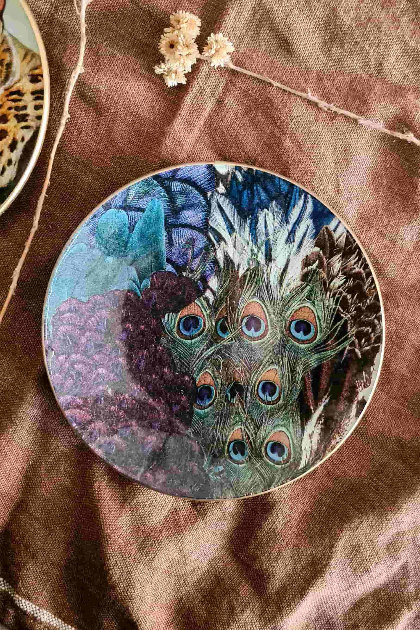 Conjunto platos de pan "Animalia"