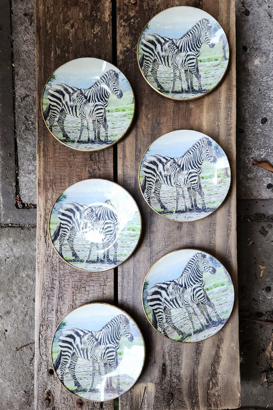Conjunto 4 platos de pan diseño cebra 16cm