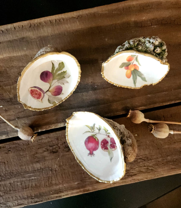 Trío conchas de frutas