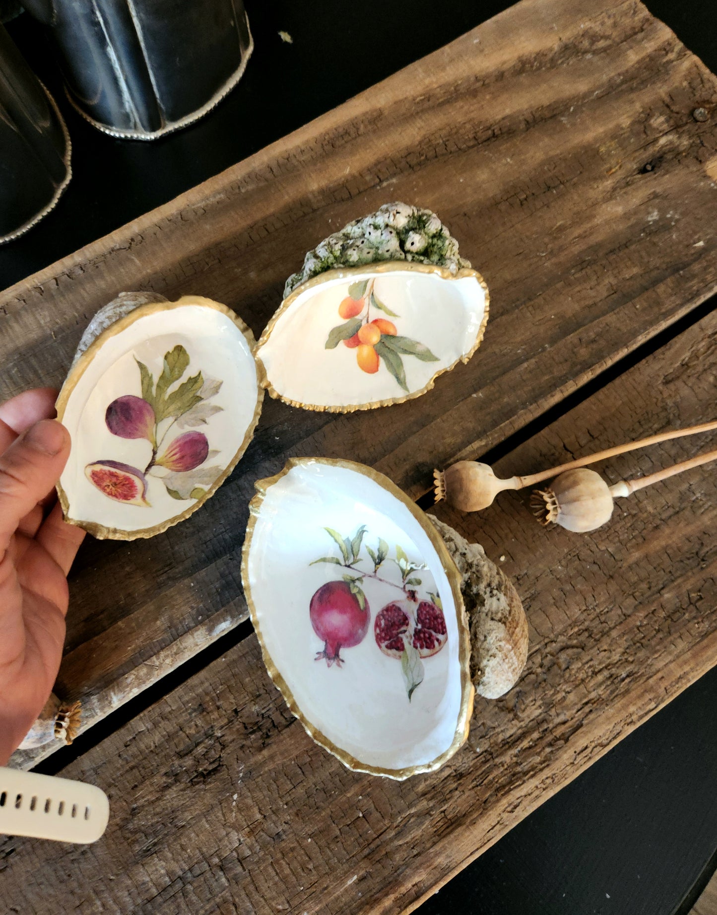 Trío conchas decorativas diseño frutas