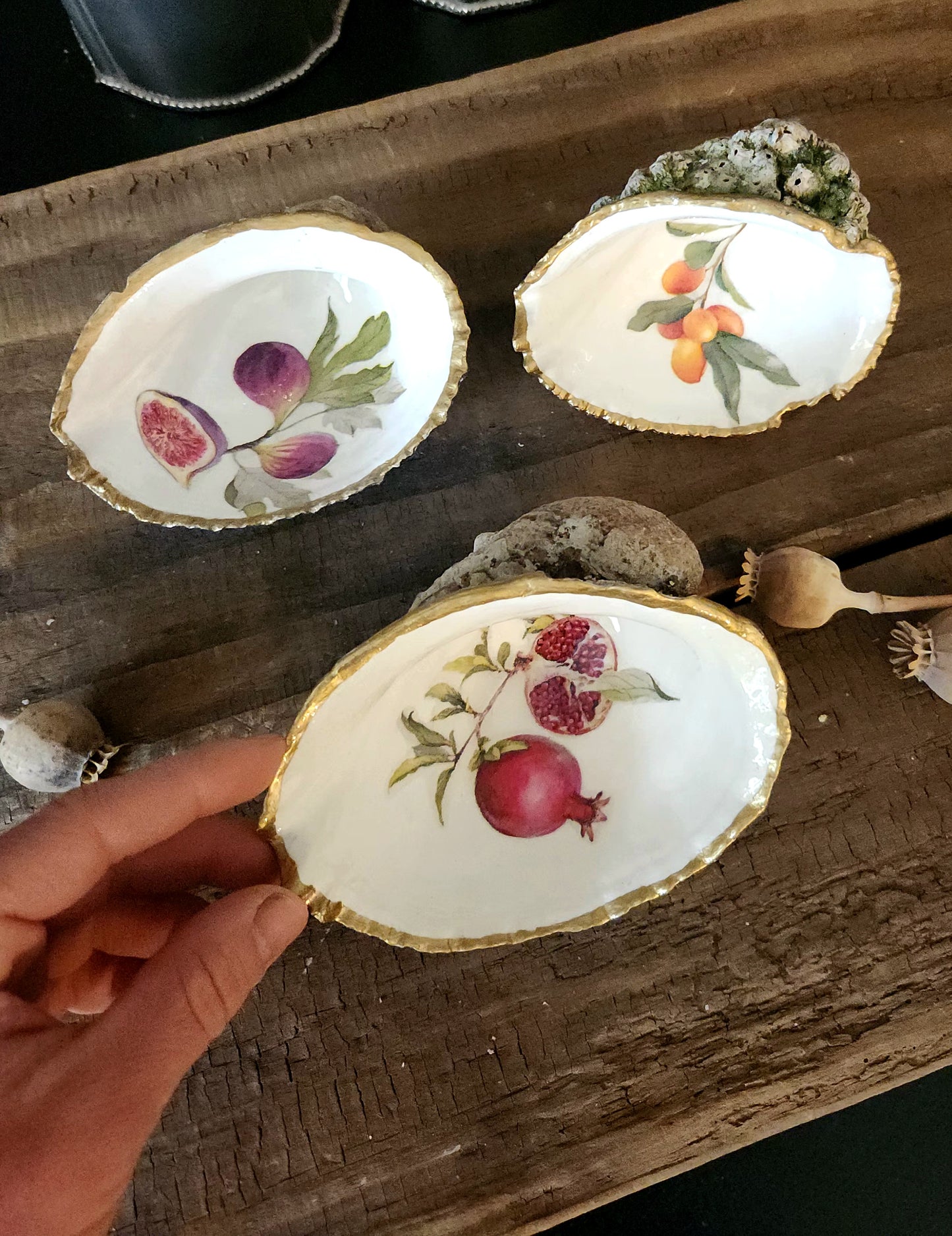 Trío conchas decorativas diseño frutas