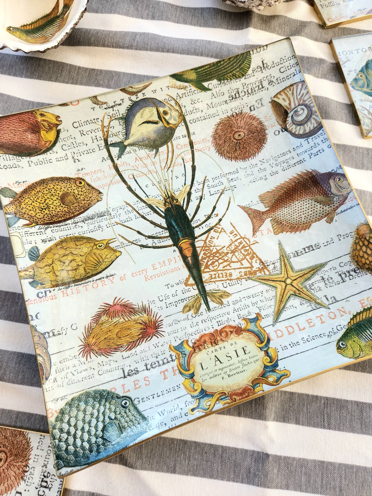Conjunto Marino