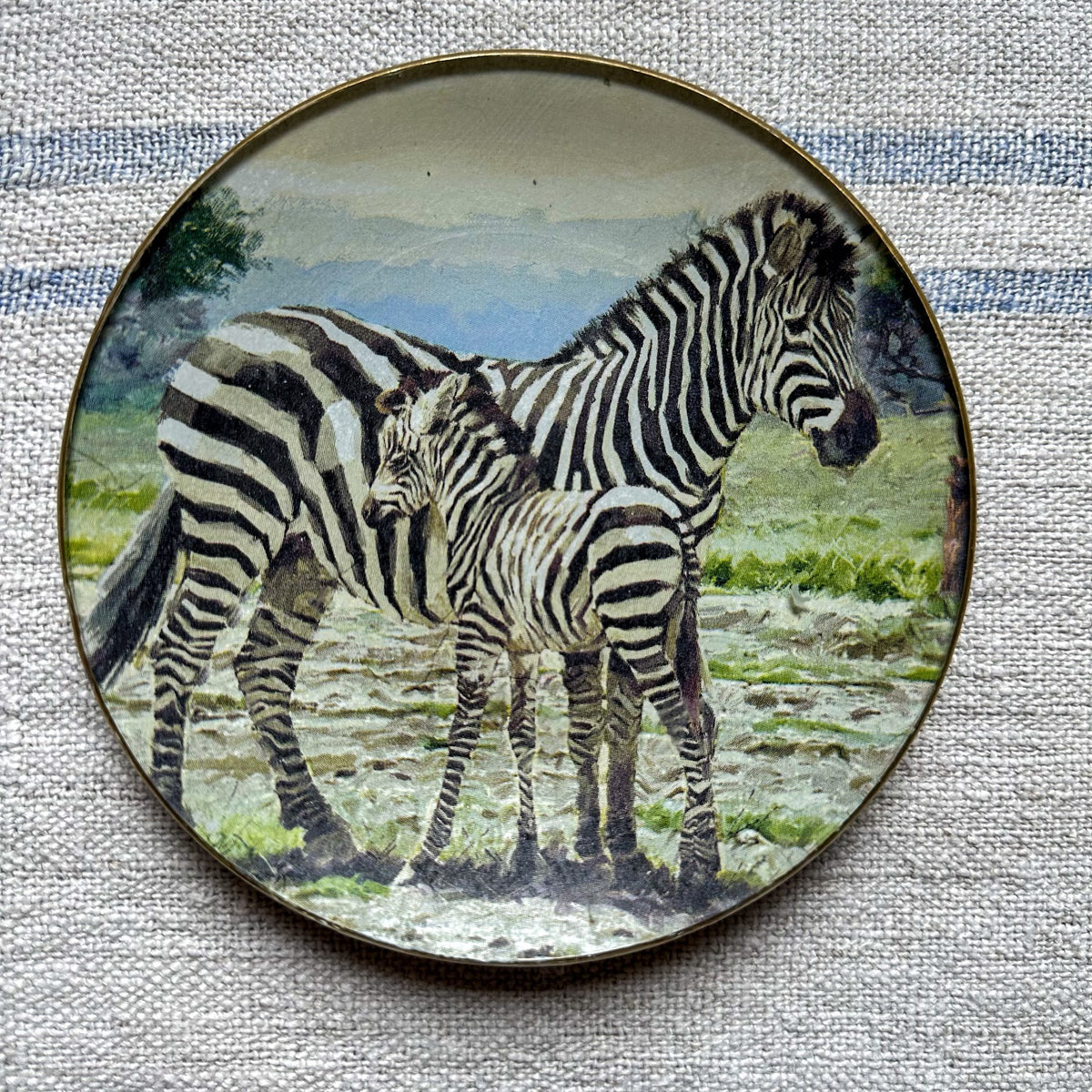 Plato PAN zebra