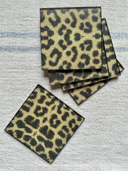 Set 5 posavasos animal print