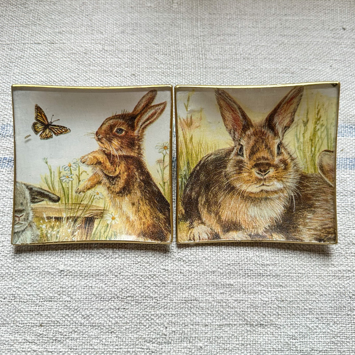 Plato MINI set conejos salvajes