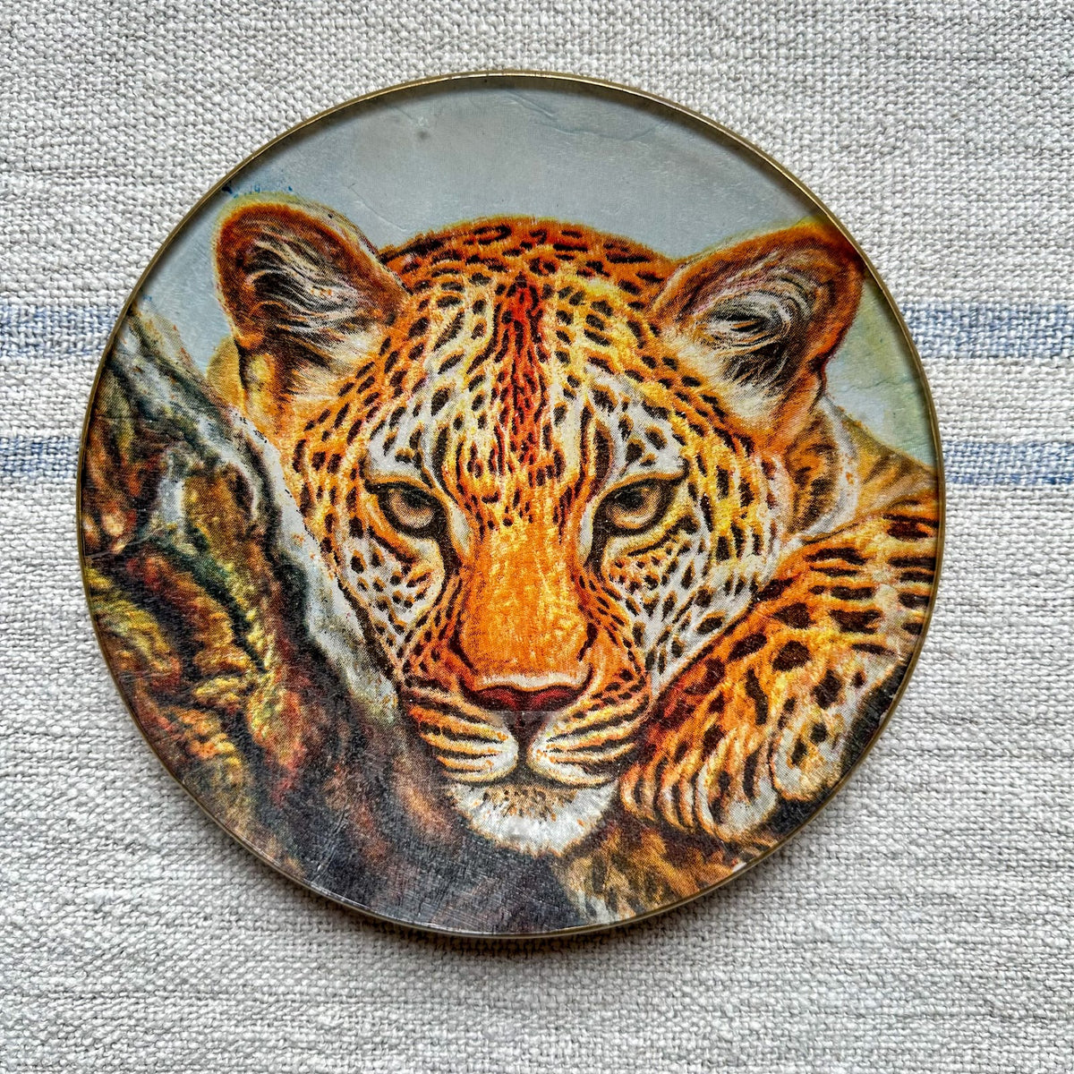 Plato PAN tigre