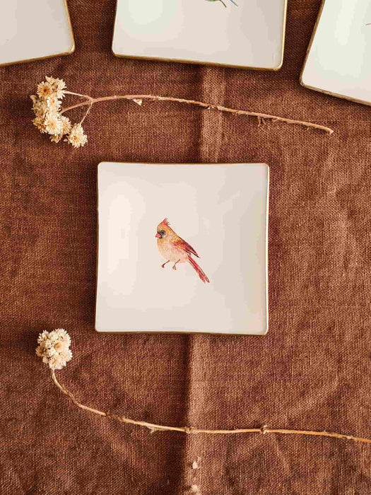 Pack mini platos de pan "Aves"