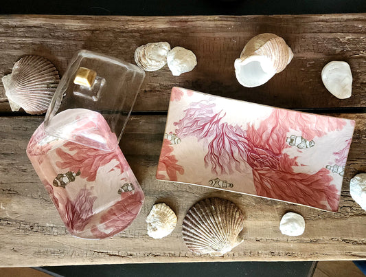 Conjunto mantequillera de animales peces