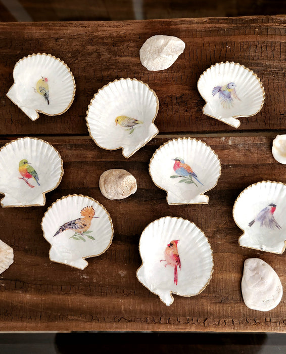 Conchitas de Chiloé