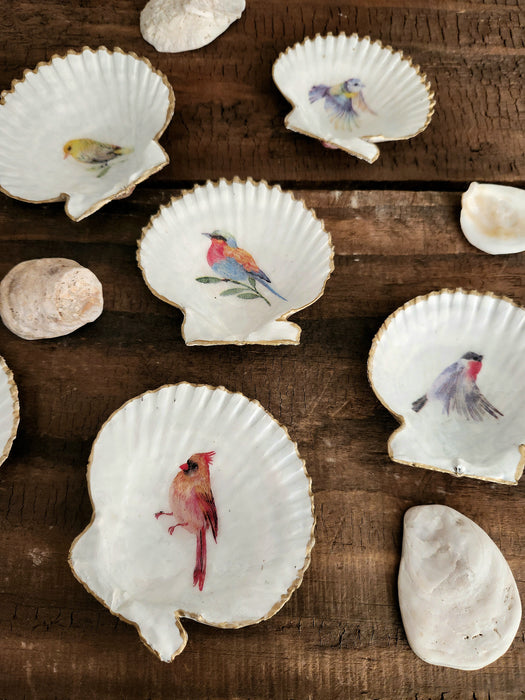 Conchitas de Chiloé