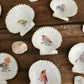 Conchitas de Chiloé