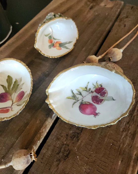 Trío conchas de frutas