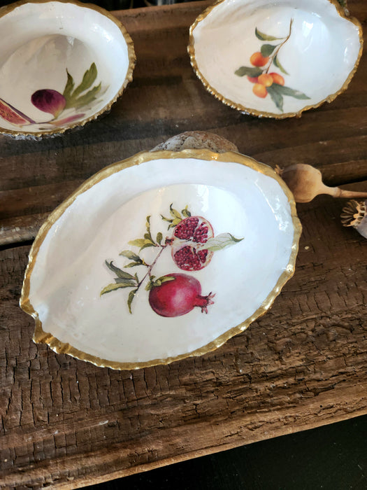 Trío conchas de frutas