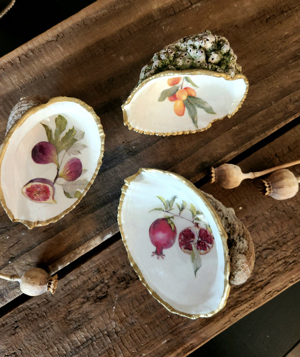 Trío conchas de frutas