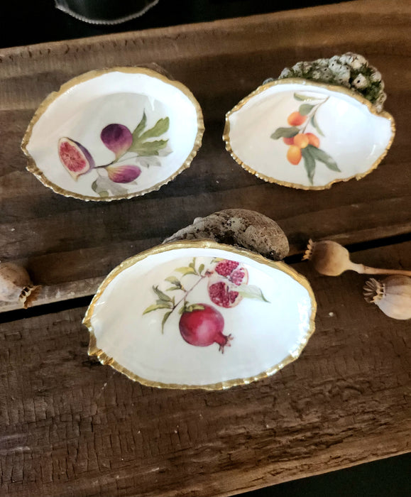 Trío conchas de frutas
