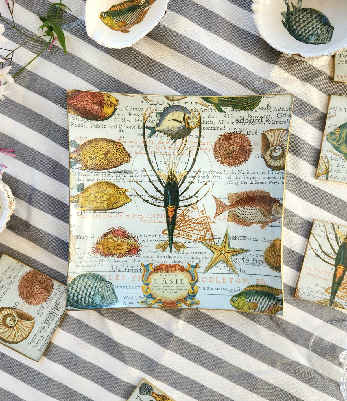 Bandeja Decorativa Servir Diseño Marino 4 Compartimentos Jhn