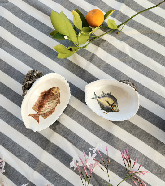 Pack 2 conchas decorativas diseño peces