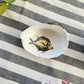 Pack 2 conchas decorativas diseño peces