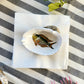 Pack 2 conchas decorativas diseño peces
