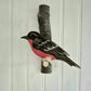 Pájaro Tallado Loica