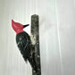 Carpintero, madera tallada
