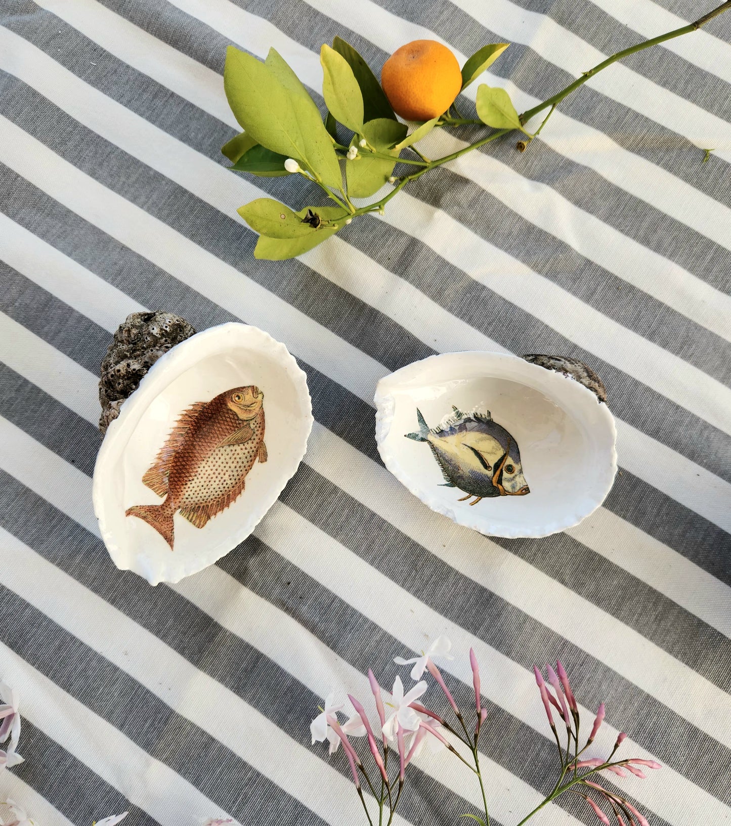 Conjunto Marino