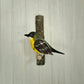 Pájaro tallado Siete Colores