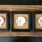 Conjunto de 3 cuadros decorativos diseño frutas