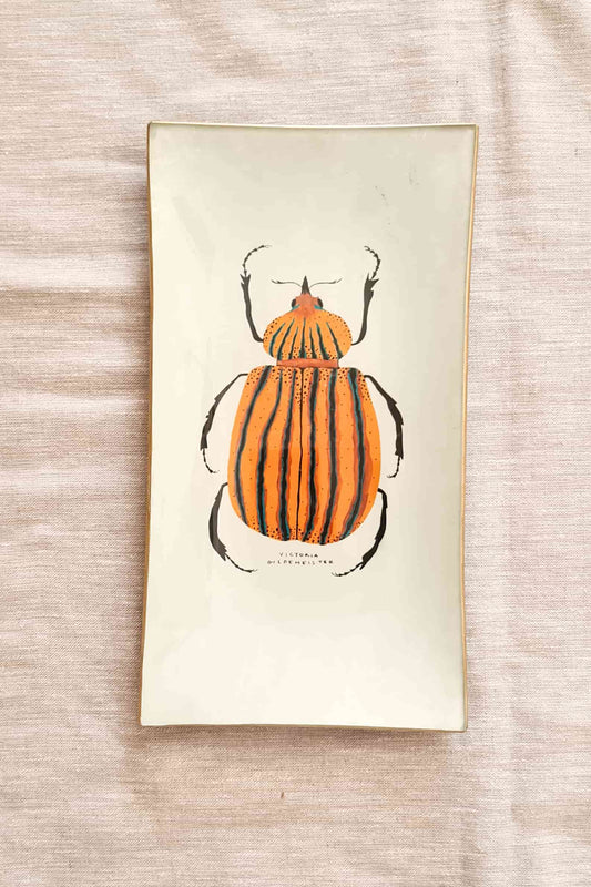 Bandeja Rectangular mediana Escarabajo Naranjo
