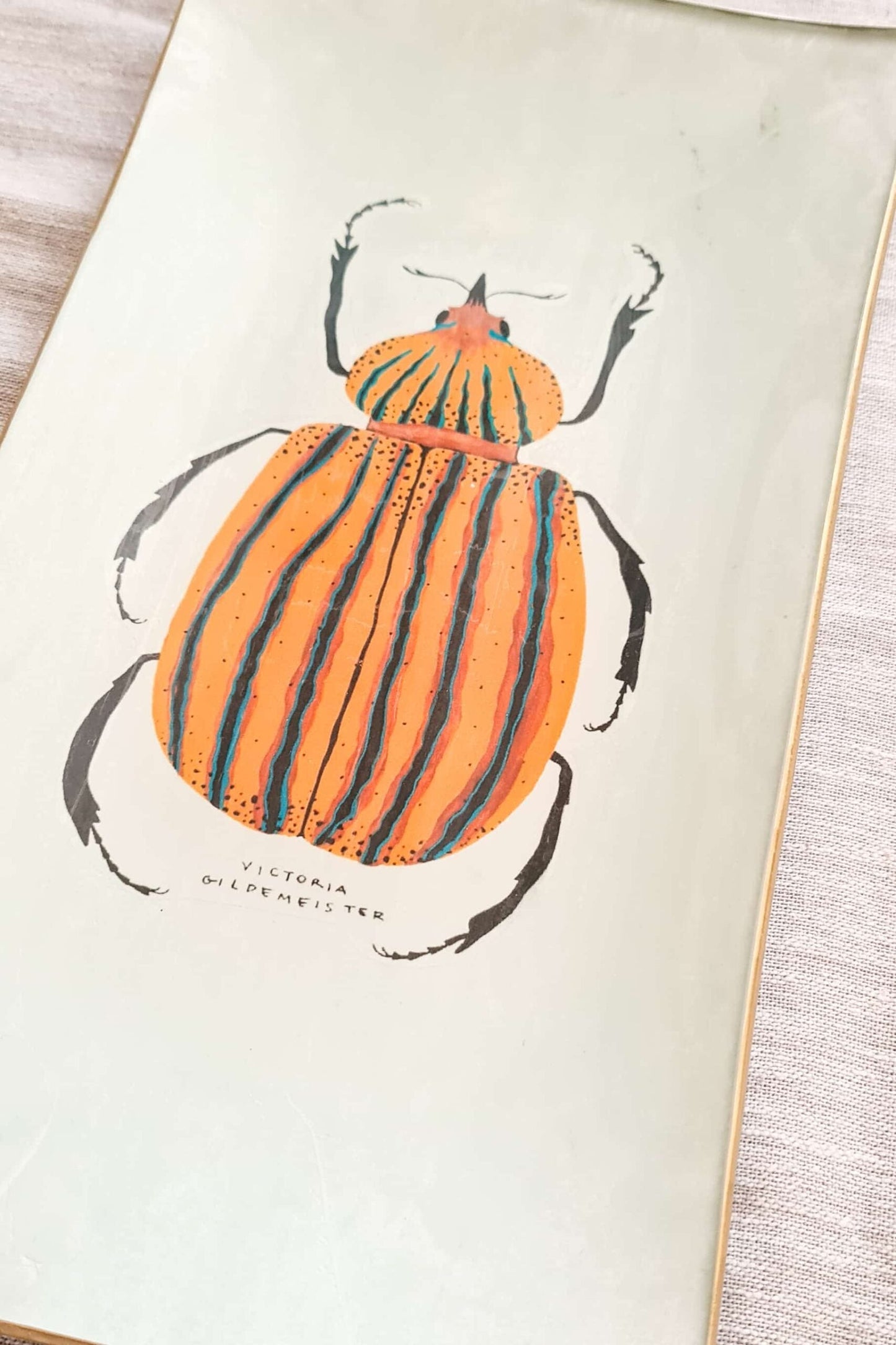 Bandeja Rectangular mediana Escarabajo Naranjo