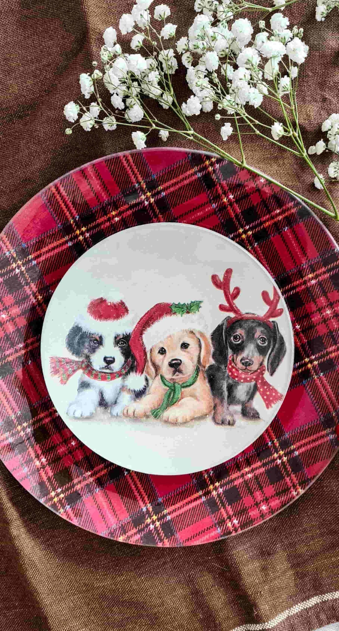 Conjunto Platos redondos Navidad 3 cachorros