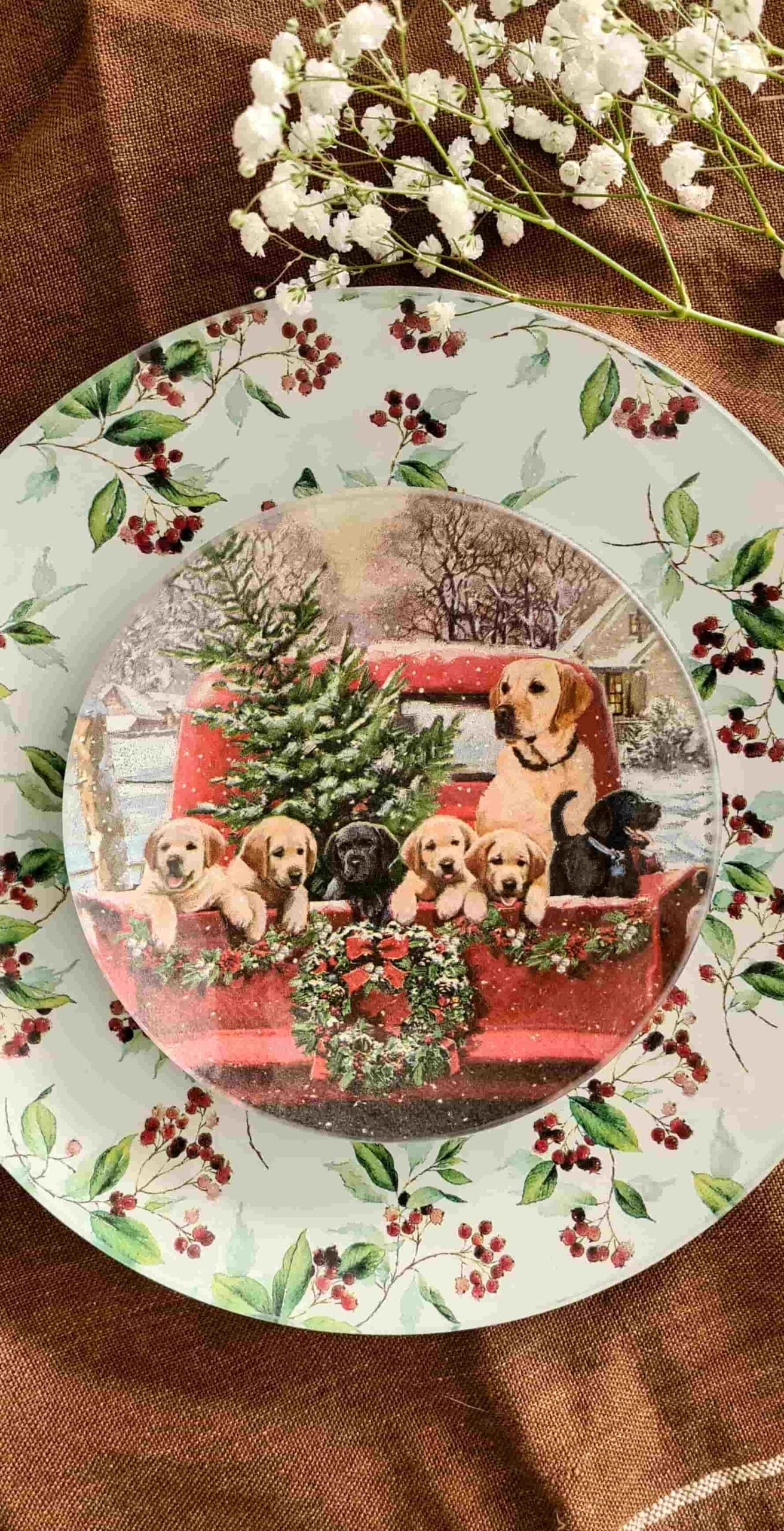 Conjunto Platos redondos Navidad Familia de cachorros