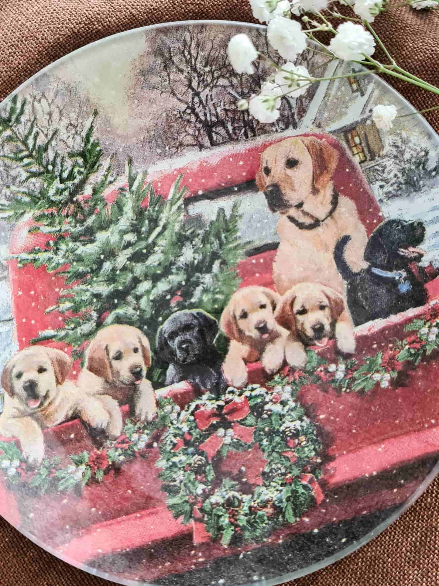 Conjunto Platos redondos Navidad Familia de cachorros